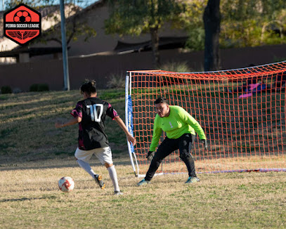 Premier Soccer Leagues