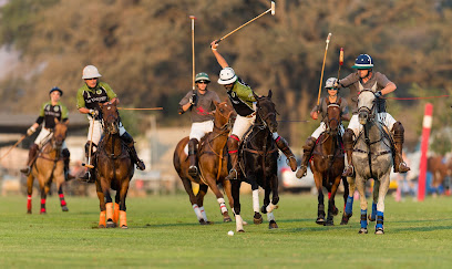 Alumine Polo — Equestrian venue in California