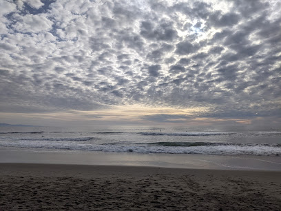 Santa Cruz Beach Volleyball Club – Rio Courts