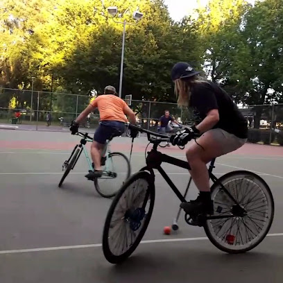 Sacramento Bike Polo — Cycling venue in California
