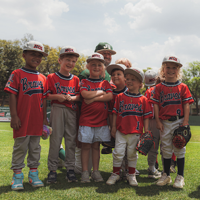 Dolphin Baseball Academy