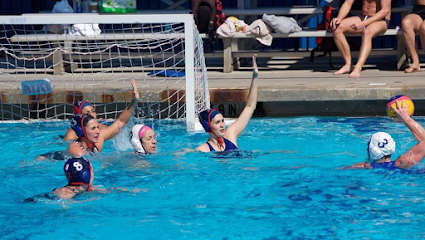 Tampa Bay Water Polo — Sports Club in Tampa, Florida