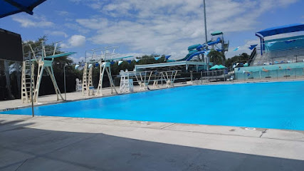 Atlantic Diving Team