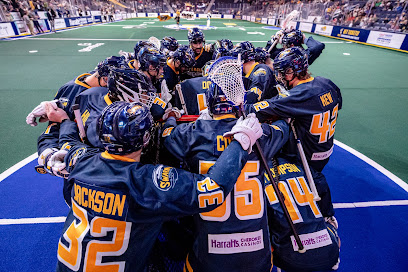 Georgia Swarm Professional Lacrosse