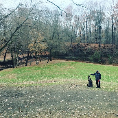 Disc Golf Chicago
