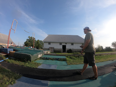 Pole Vault Elite