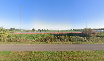 Field 31