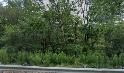 Ironwood Disc Golf — Sports Club in Corning, New York