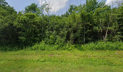 Bear Pac Archery — Sports Club in Black River, New York