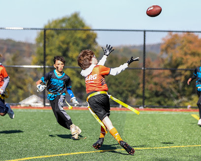 Mad Dog NFL Flag Football