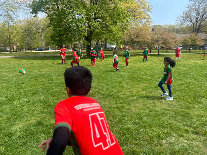 Soccer Cric Alleypond Park