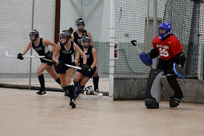Blue Lions Field Hockey Club — Sports Club in State College, Pennsylvania