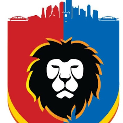 Pittsburgh Youth Cricket Academy