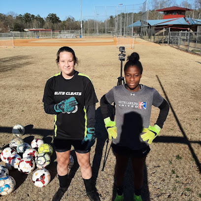 Alpha Goalkeeper Training — Sports Club in Lexington, South Carolina