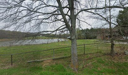 Reinbow riding academy