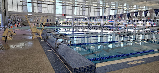 Texas Elite Swimming — Swimming venue in Texas