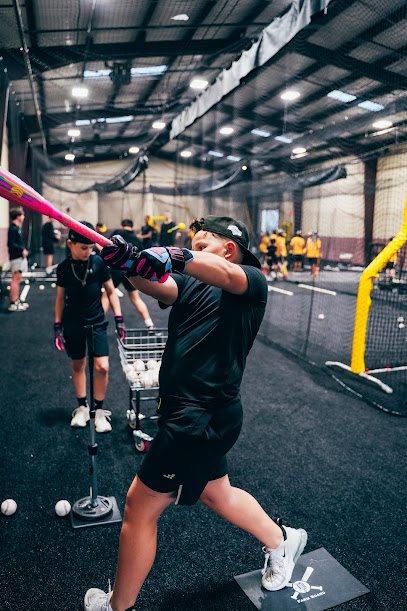 Promotion Performance Baseball And Softball Academy