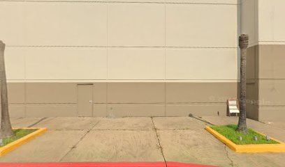 Yellow Rose Roller Derby — Skating venue in Texas