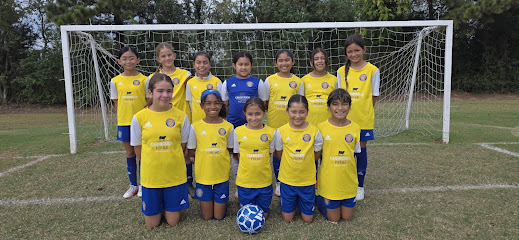 Tigres Soccer Academy