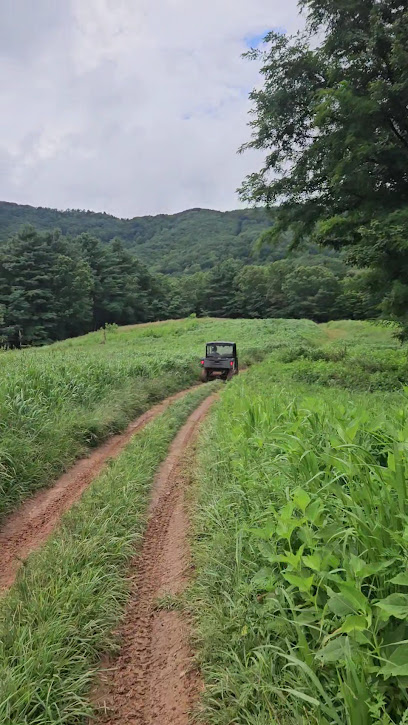Primland Sporting Club