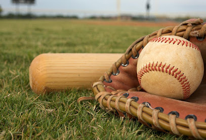 Farmington Baseball UA — Sports Club in Watertown, Wisconsin