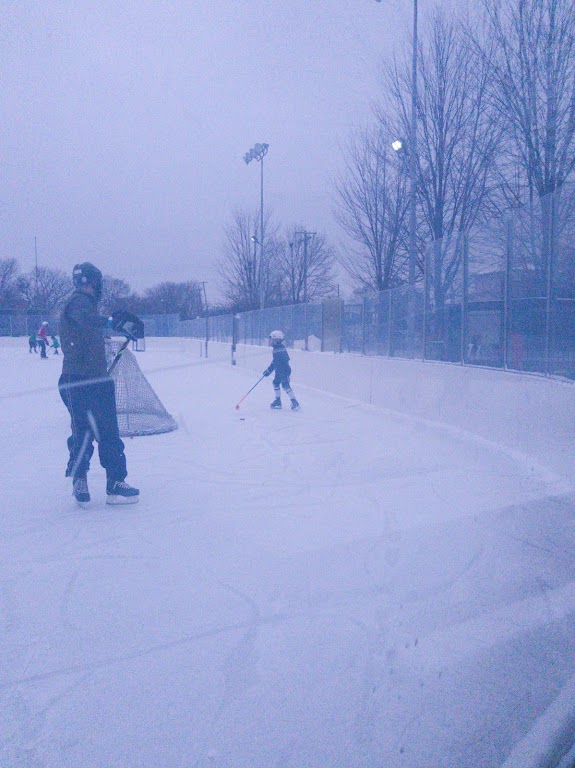 Mt. Greenwood Park Ice Rink — Ice Skating venue in Illinois