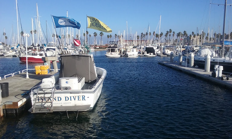 Rocky Point Kayak, Paddle Board, Surfboard and Wetsuit Rentals — Surfing venue in California