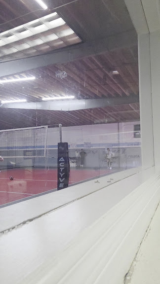 Actyve Volleyball — Volleyball venue in Santa Monica, California
