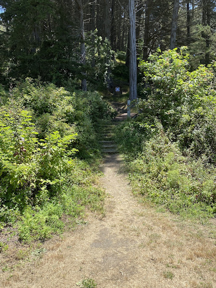 Archery Range and Club