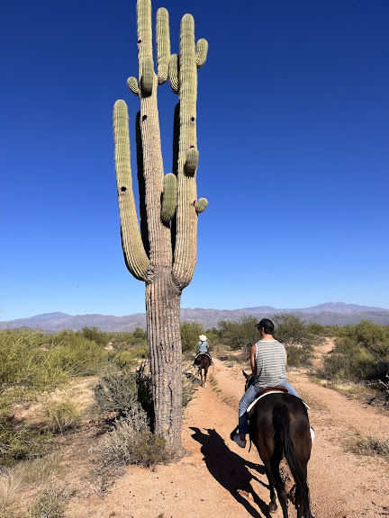 Cave Creek Outfitters, Horseback Riding, UTV/ATV/SXS PJ’s Rentals — Equestrian venue in Scottsdale, Arizona