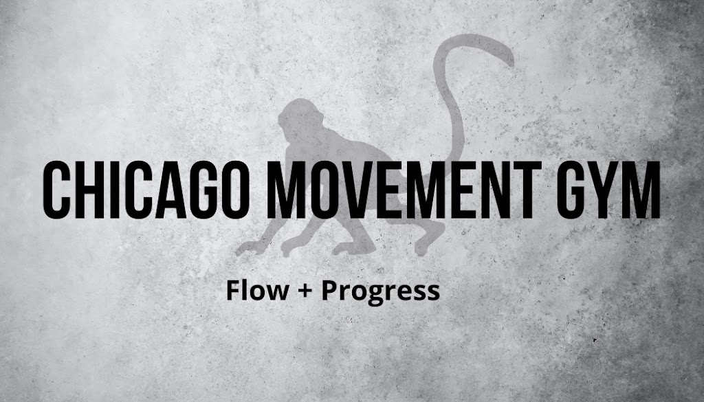 Chicago Movement Gym — Martial Arts venue in Illinois