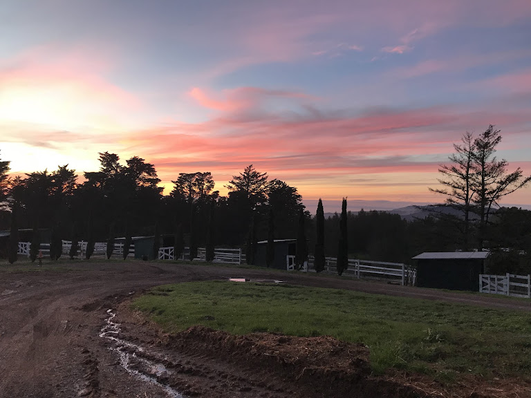 Ciara West Equestrian — Equestrian venue in California