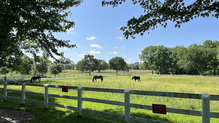 Danada Equestrian Center – Forest Preserve District of DuPage County