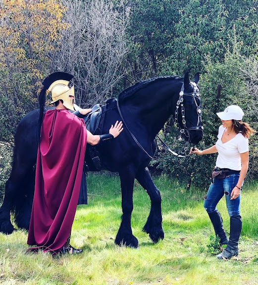 Four Legs On Set