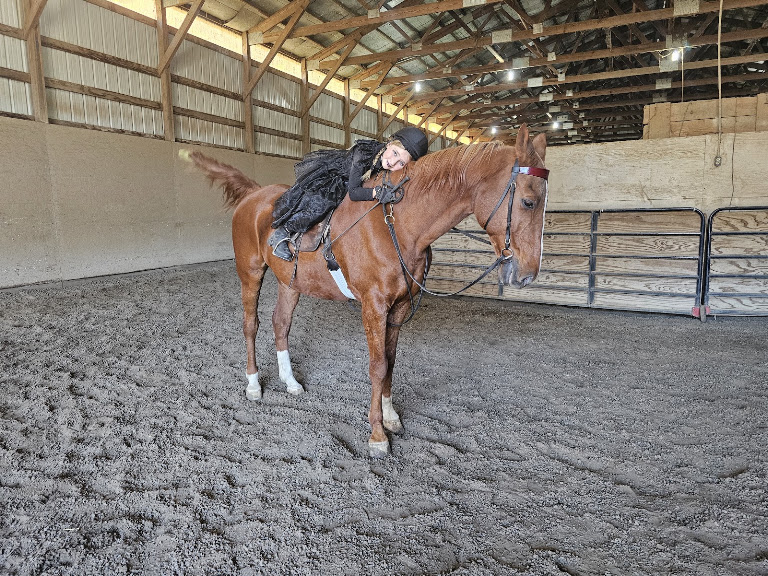 Four Willows Farm — Equestrian venue in Greenwood, Indiana