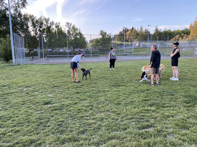 Gabriel Park – Tennis Courts — Tennis venue in Portland, Oregon