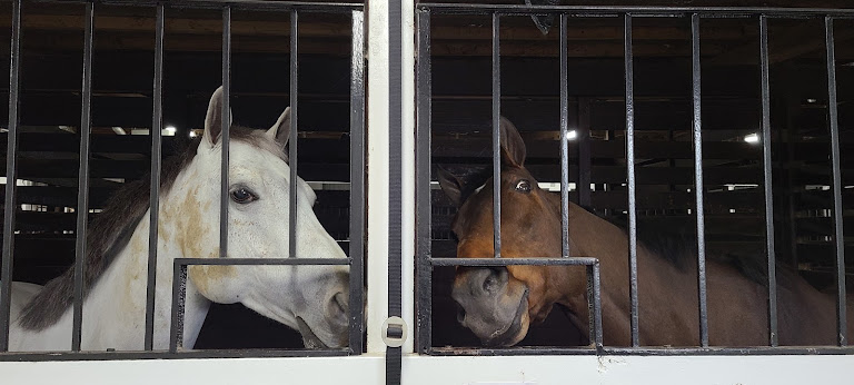 Glen Grove Equestrian Center