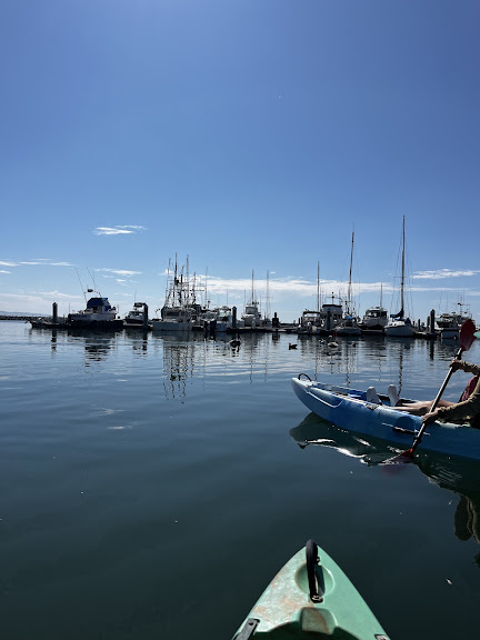Half Moon Bay Kayak Co. — Kayaking venue in California