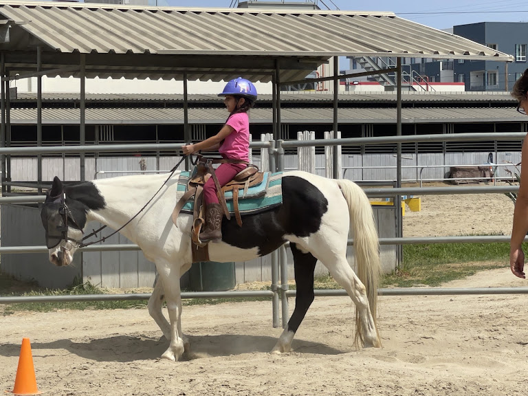 Imperial Equestrian Center — Equestrian venue in California