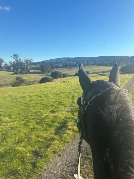 Isola Stables at Glenoaks Equestrian Center