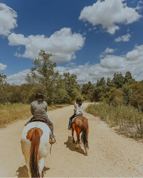 LA Horse Rentals