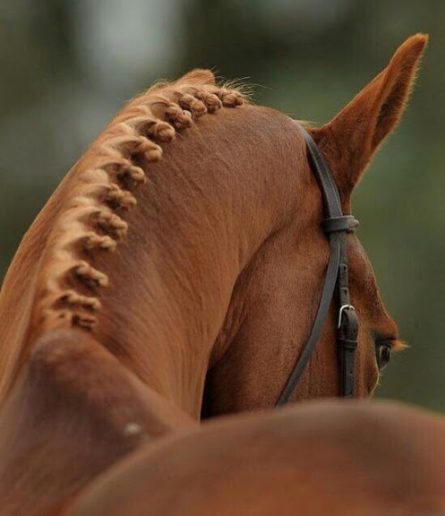 Lincourt Stables — Equestrian venue in California