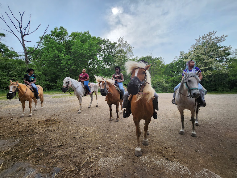Memory Lane Stables