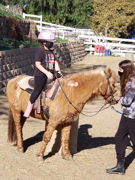 Mystic Canyon Stable — Equestrian venue in California