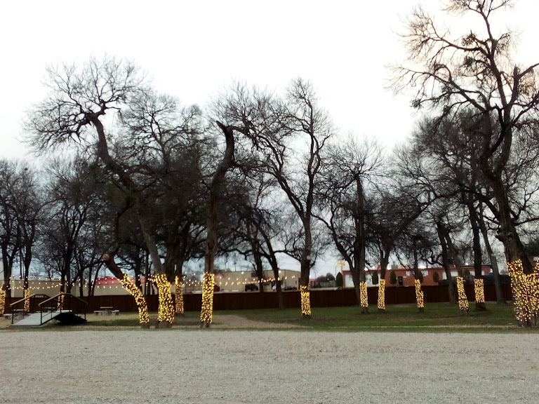 North Park Adult Softball Fields — Softball venue in Texas