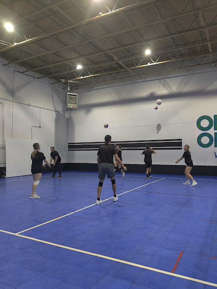 One Ohana Volleyball