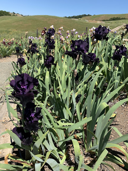 Prevost Ranch and Gardens