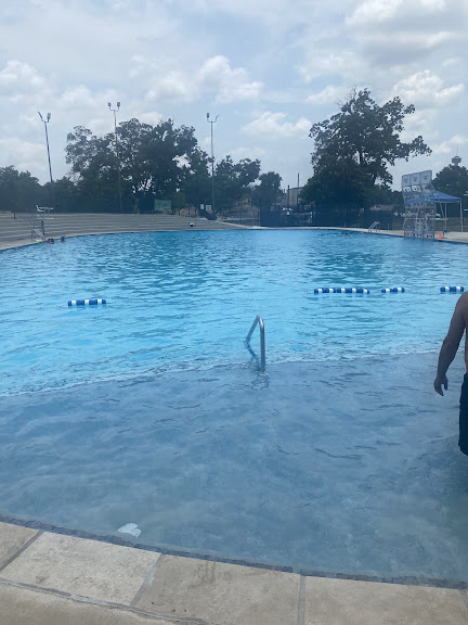 Roosevelt Park Swimming Pool — Swimming venue in Texas