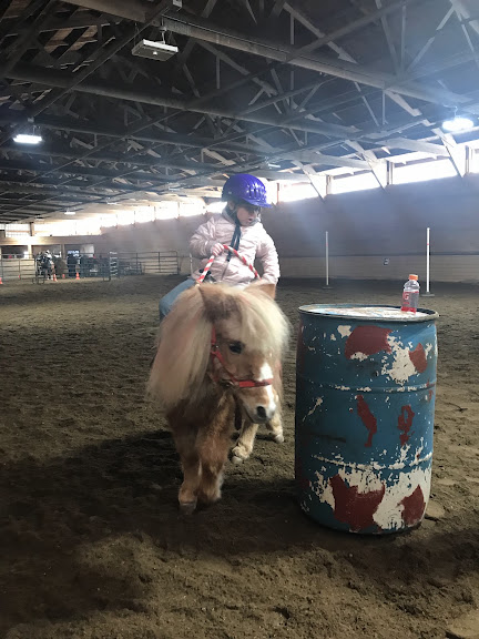Sarah’s Pony Rides