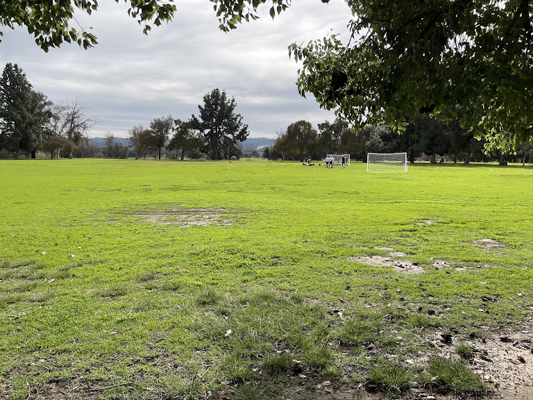 Severn Cricket Field